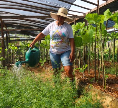 ‘Sociobioeconomia na Amazônia’ Project Provides R$ 15 Million in Credit