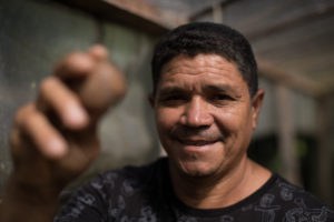 Amazon seeds: income for communities, and protection for the forest