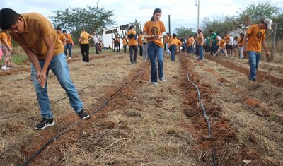 Amazônia: Seeds for ecological restoration