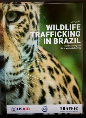 Report shows Amazon wildlife is targeted by international traffic