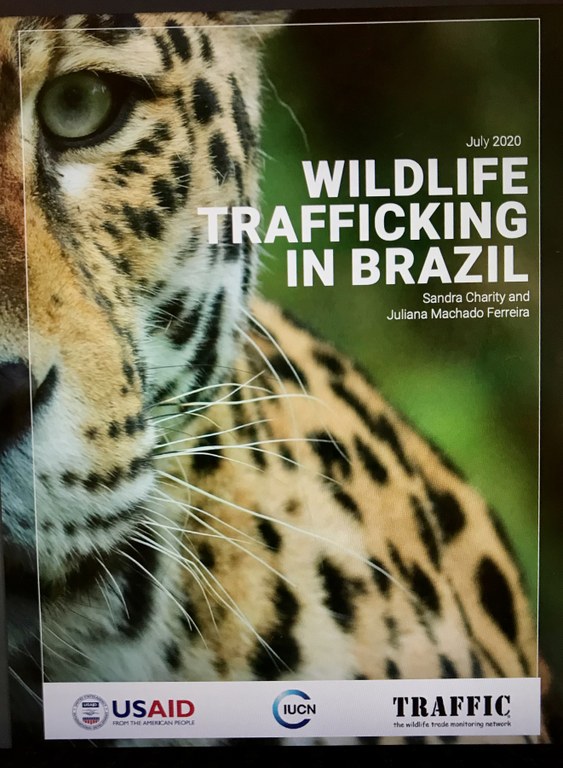 Report shows Amazon wildlife is targeted by international traffic —  Partnership for the Conservation of Amazon Biodiversity PCAB