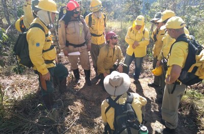 USAID and U.S. Forest Service launch new program for Brazil Forest Management and Fire Prevention