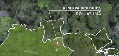Video: Biodiversity Monitoring in Uatumã Biological Reserve