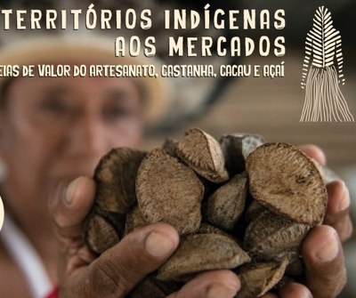 Economia Indígena: Lições de quatro cadeias de valor que contribuem com a conservação da Amazônia
