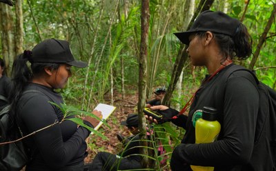 Expedição pela floresta: transmissão de conhecimento e monitoramento de territórios