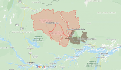 Mapas apontam comunidades tradicionais da Amazônia em risco pela pandemia da Covid-19