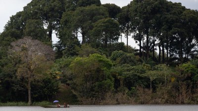 Usina comunitária trabalha para levar desenvolvimento sustentável ao Amazonas