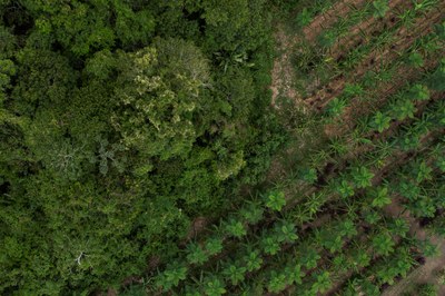 ABF recebe novos aportes para investir em empreendimentos sustentáveis