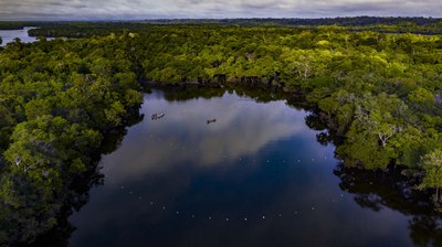 Chefs visitam a Amazônia para conhecer a pesca do Pirarucu de manejo