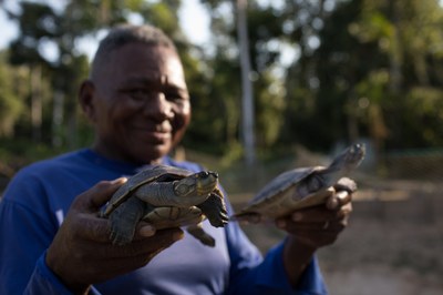 Fortalecendo a conservação da biodiversidade na Amazônia: Programa Território Médio Juruá inicia nova fase