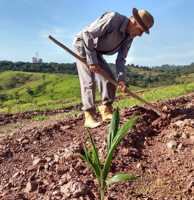 Fundo de impacto em negócios sustentáveis investe em projeto de recuperação de áreas florestais