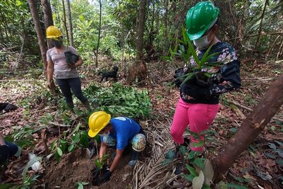 Indígenas atuam para recuperação de espécies nativas da Amazônia