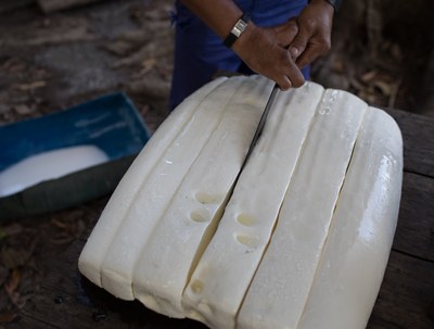 Iniciativa promove retomada da produção de borracha e gera renda