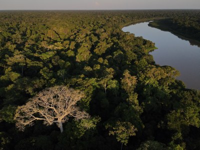 Mapaton coletivo ajuda a validar aspecto do sensoriamento remoto do TerraBio