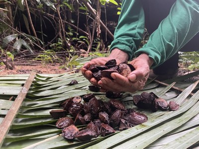 Nossa Floresta Nossa Casa fortalece iniciativas indígenas