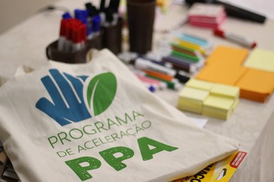 Programa de Aceleração da PPA é finalista da Chamada de Soluções Inovadoras da SDSN-Amazônia