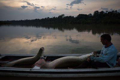 Programa territorial ajuda a proteger 1 milhão de hectares na Amazônia