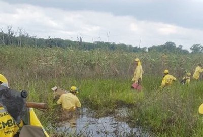 Treinamentos virtuais ajudam no combate a incêndios em biomas brasileiros