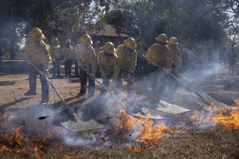 Women are using a shovel to put out fires in the bush during training