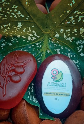 The photograph shows a reddish soap with the ASMAMJ logo on the side. Both are on a green leaf